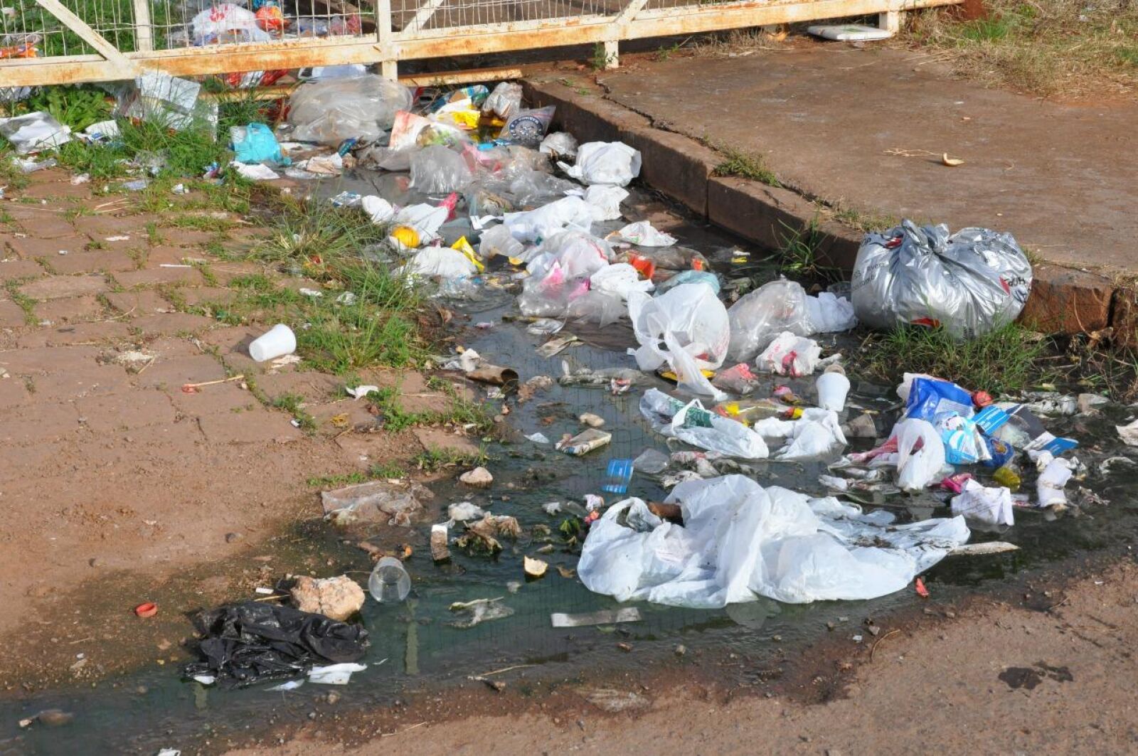 Incômodo há mais de um ano: Moradores de Viamão reclamam de esgoto a céu  aberto