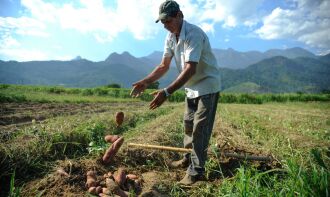 Pesquisa cruzou dados disponibilizados nos últimos 4 anos. (Foto: Tomaz Silva/Agência Brasil)
