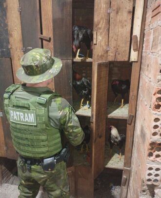 Divulgação/BABM