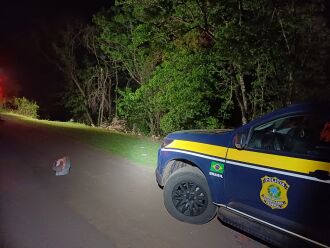Acidente ocorreum na BR 386 envolvendo um Fusion, com placas de Palmeira das Missões -foto PRF