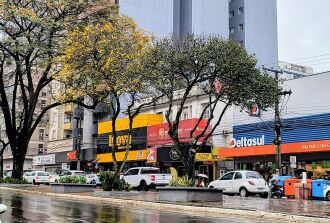 Setembro: predomínio de chuva em Passo Fundo - Foto – LC Schneider-ON