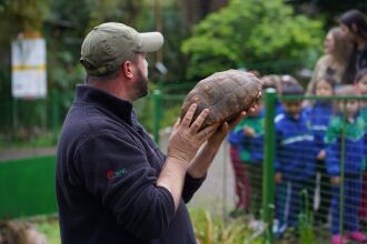 Espaço abriga espécies silvestres e está em processo para se tornar zoológico - FOTO: MICHEL SANDERI/PMPF