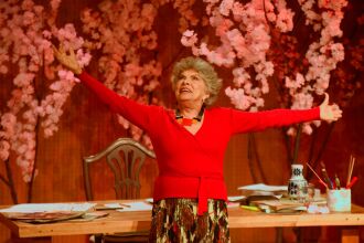 O espetáculo foi inspirado no livro homônimo de Claudia Tajes e Diana Corso - Foto: Divulgação
