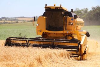 Ao contrário da região de Passo Fundo, onde a colheita deve iniciar em novembro, na região Noroeste do RS a colheita já atingiu 10% da área plantada - Foto: Divulgação/Emater