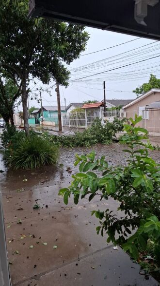 Rajadas de vento e chuva intensa em curto período provocaram destelhamentos e quedas de árvores em Passo Fundo - Foto: Divulgação