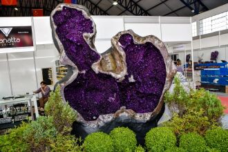 Em 2024, Soledade foi responsável por 63% das quase 19,5 toneladas exportadas pelo Rio Grande do Sul - FOTO EXPOSOL