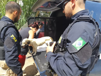 Usuários das rodovias contam com canais de denúncia, pelos telefones 156 (EGR), 181 (Polícia Civil), 190 (Brigada Militar) - Foto: Divulgação/ Polícia Rodoviária Federal