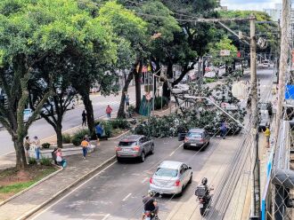 Por um triz: mimguém foi atingido - Fotos - LC Schneider-ON