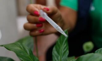Ações do governo do Estado no controle do mosquito, clima e vacinação levam à redução de 97,1% dos casos de dengue no RS em 2026 - Foto: divulgação