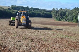 A canola está colorindo cada vez mais as lavouras da região durante o inverno - Foto: Arquivo/Ascom Seapi