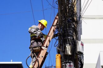 Realizado desde outubro de 2025, a operação Poste Limpo, foram 16 edições, em  diversas vias do município - FOTO: PMPF/ASSESSORIA