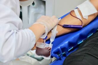Estoques apresentam estabilidade mesmo com a queda nas doações - Foto: Divulgação/HSVP