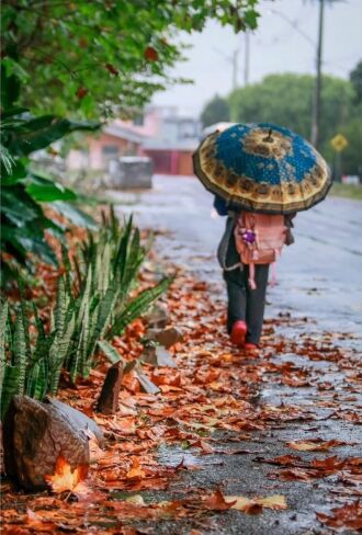 Virada do tempo começa a partir de quinta-feira com o retorno da chuva - Foto: Roberto Sander/Arquivo