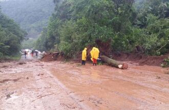 Servidores da autarquia removem barreira na ERS-446, na Serra