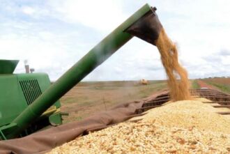 O Plano Safra é lançado pelo governo federal no início do ano agrícola, em 1º de julho