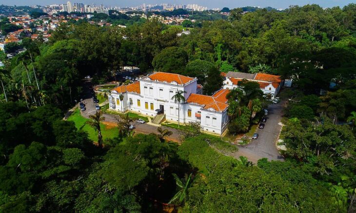 O soro pode ajudar a reduzir a letalidade e a gravidade da doença  (Foto: Instituto Butantan/Divulgação)