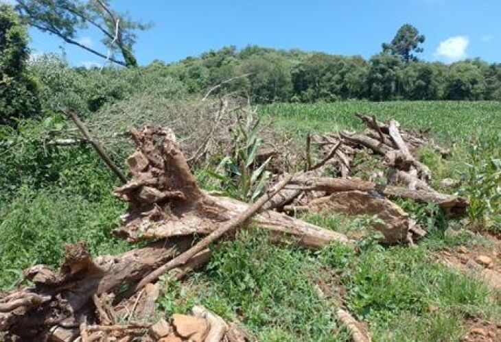 Área foi detectada com auxílio de drone - Foto - 3º BABM-Bento Gonçalves   