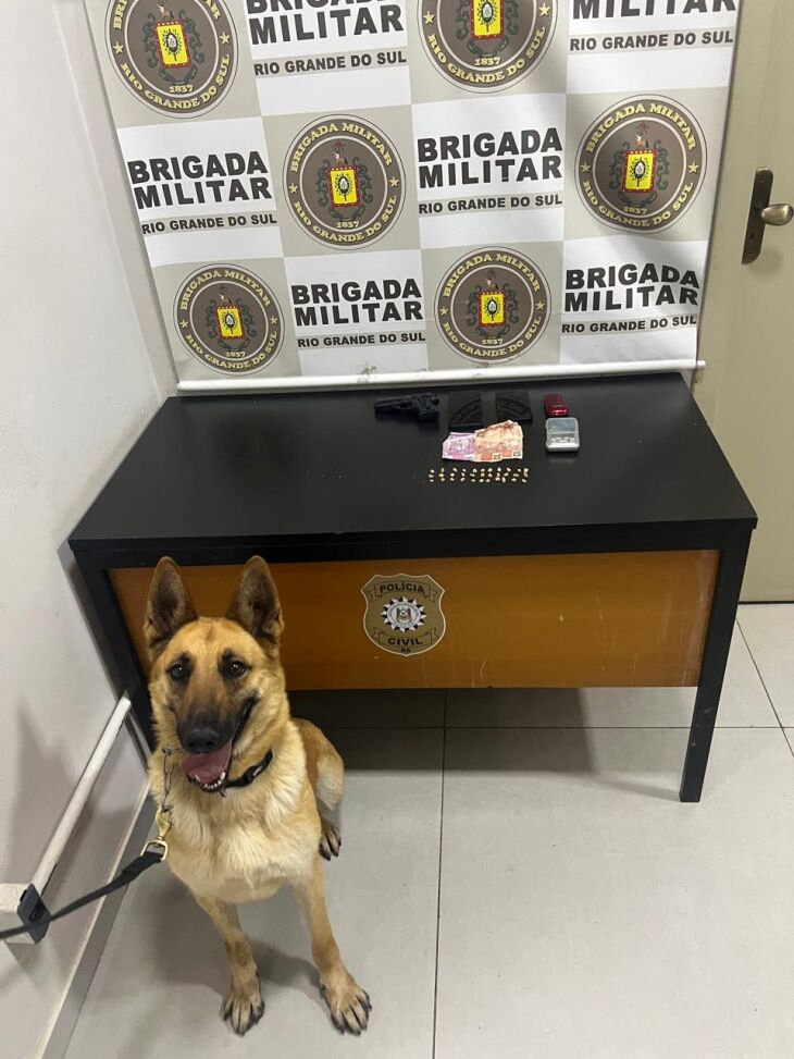 Drogas foram encontradas com auxílio dos cães - Foto BM