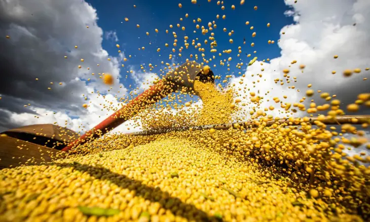 Mais uma vez, a soja respondeu por 75,23% das exportações em 2025 - FOTO DIVULGAÇÃO