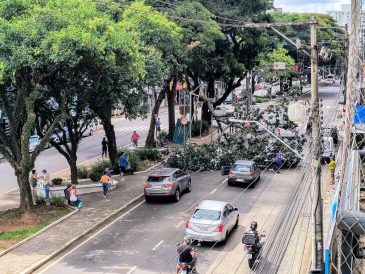 Por um triz: mimguém foi atingido - Fotos - LC Schneider-ON