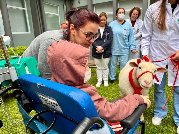 No HSVP, Chanel demonstrou que sua simpatia ultrapassa as redes sociais e que a relação entre humanos e animais pode ser uma importante aliada no cuidado aos pacientes - Fotos: Ana Paula Koenemann/Comunicação HSVP