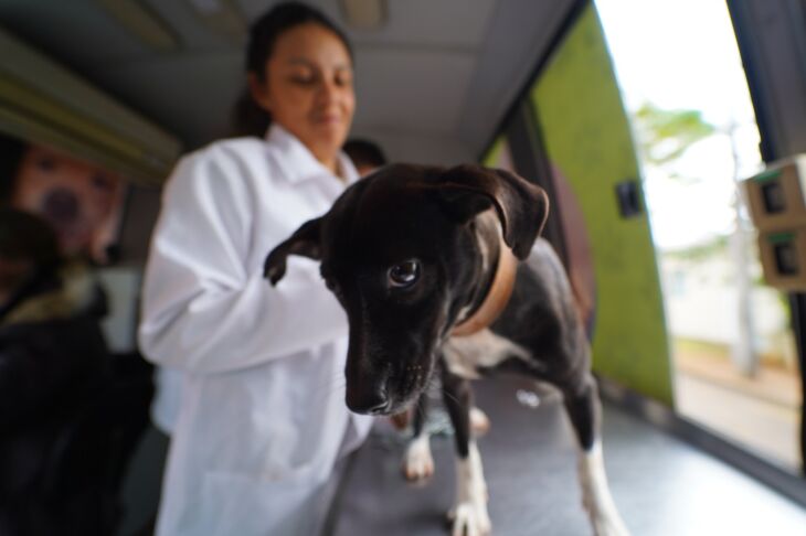  Com a integração entre os fundos, a perspectiva é garantir mais estrutura para atender a demanda do setor no município - Foto: Divulgação/PMPF