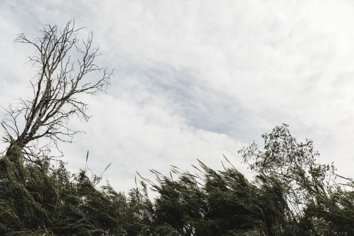 Virada no tempo e sequência de dias com instabilidades - Foto: Magnific