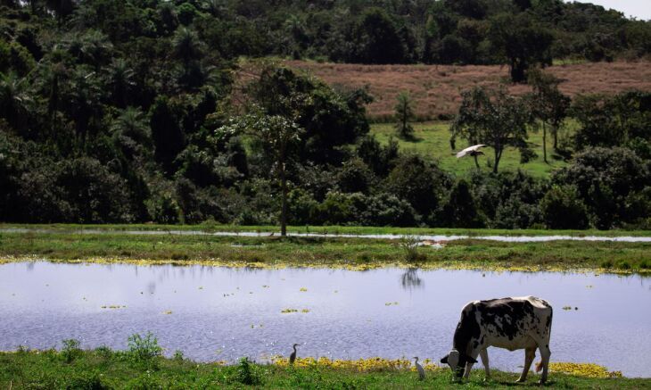 O desempenho da agropecuária está relacionado à recuperação da produção agrícola em relação a 2025 - Foto: Wenderson Araujo/Trilux