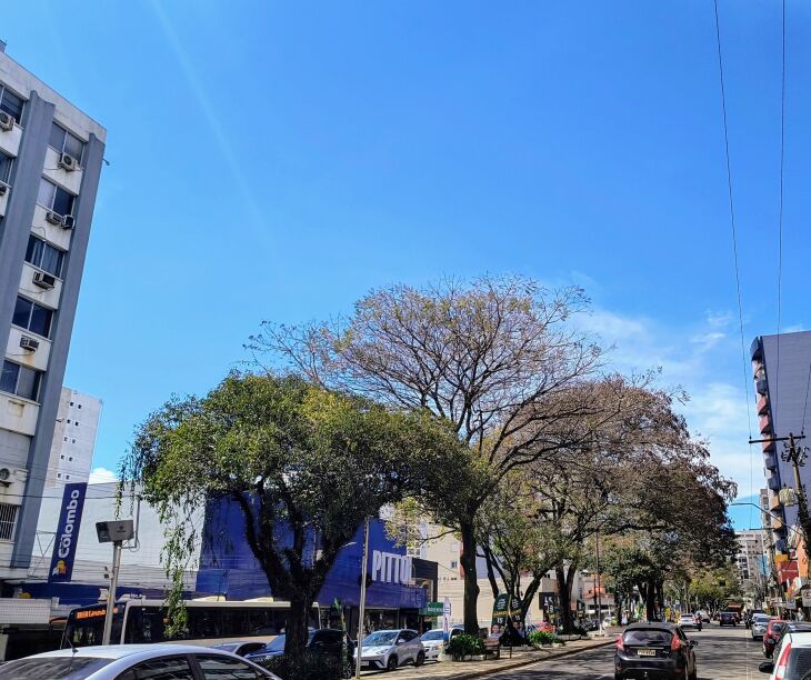Sexta-feira: indicativos de céu claro em Passo Fundo - Foto: LC Schneider-ON