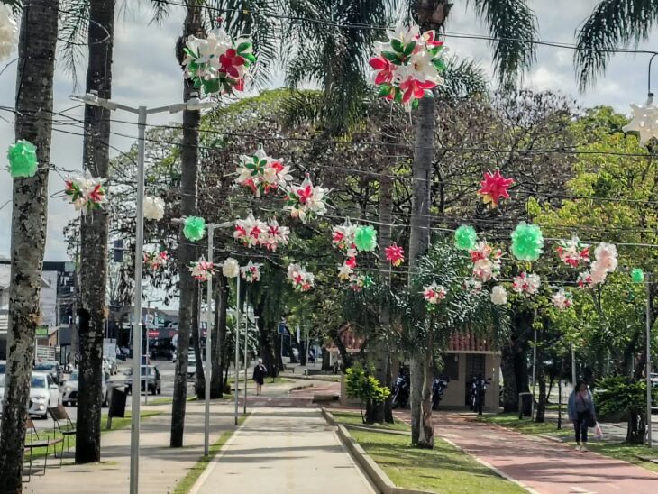 Enfeites aéreos já estão sendo montados para receber a comunidade - FOTO: KLEITON VASCONCELLOS/ON