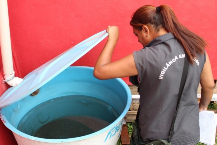 A cada 100 casas visitadas, 5,5 possuem a presença do mosquito aedes aegypti. Inseto é o causador da dengue, febre chicungunya e zika vírus