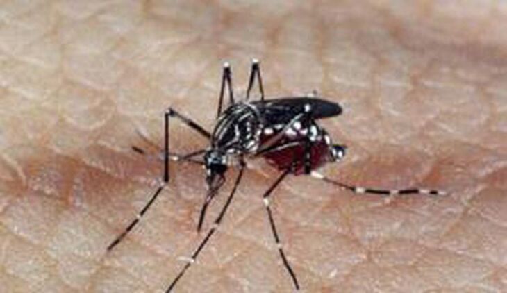 A incidência da dengue no país até 16 e março é de 109,9 casos por 100 mil habitantes